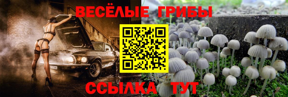 Псилоцибиновые грибы прущие грибы Ачхой-Мартан