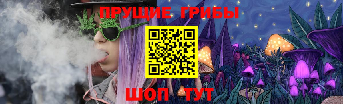 где можно купить наркотик  Вход с VPN  Ачхой-Мартан  Галлюциногенные грибы Magic Shrooms 